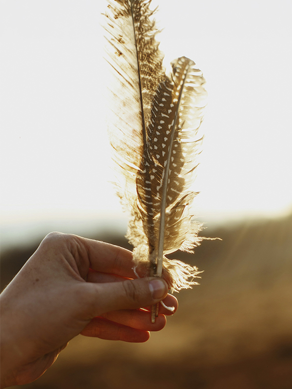 Eine Hand hält zwei Federn in die Luft.Foto: Getty Images via Unsplash+